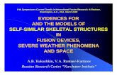 6-th Symposium «Current Trends in International Fusion ...uni-skeletons.narod.ru/Publications/sk_W05-pp1_42.pdf · 6-th Symposium «Current Trends in International Fusion Research: