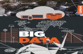 Extract Valuable Insights from BIG DATA€¦ · Extract Valuable Insights from. Big Data Must Generate Big Insights If this isn’t happening, ... complex concepts easier to understand