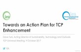 Towards an Action Plan for TCP Enhancement...Provide strategic directions and guidance to TCPs through the CERT, Working Parties, and TCP ExCos TCPs Dialogue and exchange of info with