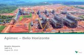 Apimec Belo Horizonte - Vale 1T15 2T15 3T15 4T15 1T16 2T16-51% 1 Considers: [Cash cost + Royalties + freight + distribution + expenses(SG&A + R&D + pre-operating and stoppage expenses)