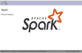 Spark - IPTricardo/ficheiros/BD - Spark.pdf · When needed, store intermediate results in memory (cache) to speed up calculations (avoid re-computing data). 4. Execute an action to
