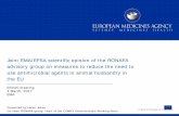 Joint EMA/EFSA scientific opinion of the RONAFA advisory ... · organic acids (necrotic enteritis in poultry, PWD in pigs) ... an EU regulatory framework for ‘alternatives’ •