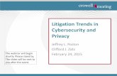 Litigation Trends in Cybersecurity and Privacy...133 S. Ct. 1138 (2013) • FISA allows surveillance of non-U.S. individuals. • Plaintiffs (U.S. citizens, some of whom were attorneys)