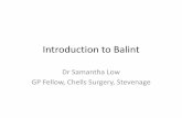 Introduction to Balint - Home | East of England · Introduction to Balint Dr Samantha Low GP Fellow, Chells Surgery, Stevenage ... •Maintaining professional boundaries and clear