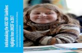 Institutionalizing the IASC GBV Guidelines: Highlights ... · Institutionalizing the IASC GBV Guidelines: ... Highlights from UNICEF’s GBV integration work in the field ... The