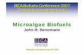 Microalgae Biofuels - California State Polytechnic ... · Biodiesel tranesterification The problem is not making algae biodiesel but producing algae biomass with a high oil content,