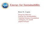 Energy for Sustainability - Purdue University...• Energy Transmission, Distribution, Efficiency, and Use – Transmission and distribution – Energy efficiency and management To
