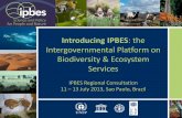 Introducing IPBES: the Intergovernmental Platform on Biodiversity … - Plenary IPBES... · 2013-07-24 · Oct. 2009 - Nairobi, Kenya June 2010 - Busan, Republic of Korea Oct. 2011-