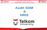 Audit SDM HRIS · 2018-11-20 · Pengertian Audit SDM: Pemeriksaan dan penilaian secara sistematis, objektif dan terdokumentasi terhadap fungsi- fungsi organisasi yang terpengaruh