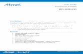 User Guide MCU WIRELESS - Atmel Community...Typical SmartConnect 6LoWPAN network is composed from end nodes (for example sensor, actuators, range extenders, etc) and a border router
