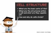 CELL STRUCTURE - St Leonard's College...Types of cells All animal, plantand fungicells are eukaryotic But there are still some differences between them Types of cells Bacterial cells