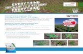 EVERYTHING · EVERYTHING YOU WANT IN A SOYBEAN EVERYTHING TOUGH WEEDS HATE Pioneer® brand soybeans with Roundup Ready 2 Xtend® Technology Pioneer ® brand soybeans with Roundup