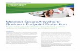 Webroot SecureAnywhere Business Endpoint Protection · Traditional antivirus presents the hassle of ensuring every endpoint has the latest update. SecureAnywhere Business Endpoint