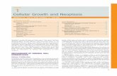 Cellular Growth and Neoplasia - Elseviersecure-ecsd.elsevier.com/uk/files/9781455746927... · Neoplasia in the GI tract remains one of the most frequent diseases gastroenterologists