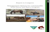 Report to Congress Management Options for a Sustainable Wild … · Report to Congress. Management Options for a Sustainable Wild Horse and Burro Program . 1. Executive Summary .