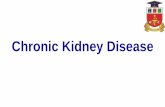 Chronic Kydney Disease - Chronic Kidney Disease (Chronic Renal Failure) â€¢Definitions Kidney damage