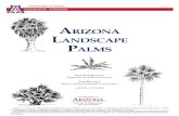 ARIZONA LANDSCAPE PALMS · irrigation into a built-up well should wet an area 2 feet beyond the root ball. As discussed above, drip emitters should be spaced at 2 feet and at 4 feet