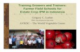 Training Growers - FFS Estate Crop IPM · 2016-08-25 · Training Growers and Trainers: Farmer Field Schools for Estate Crop IPM in Indonesia Gregory C. Luther IPM / Development Specialist