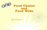 Food Chains and Food Webs · 2020-01-23 · Types of Food Chains ... ☸Predator- An animal that captures and eats other ... ☸Several food chains linked together ☸A predator from