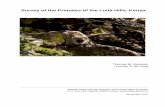 Survey of the Primates of the Loita Hills, Kenya...Survey of the Primates of the Loita Hills, Kenya Thomas M. Butynski Yvonne A. de Jong Eastern Africa Primate Diversity and Conservation