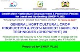 Smallholder Horticulture Empowerment & Promotion Project ... · Cultivation Preparation: Q1 Market survey in progress 2-1 9 Photo: SHEP PLUS. MOALF/SHEP PLUS 10