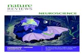 Spatial cognition in bats and rats: from sensory ... · From perception to spatial codes Most sensory modalities for bats and rats — vision, olfac - tion, echolocation (bats) and