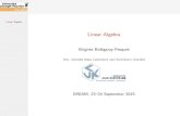 Linear Algebra - imagljk.imag.fr/membres/Brigitte.Bidegaray/Sources/LinearAlgebra_print.pdf · 1 Vectors and matrices Elementary operations Gram{Schmidt orthonormalization Matrix