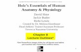 Anatomy & Physiologyluftiganatomyandphysiology.weebly.com/uploads/1/7/5/9/1759825/c… · Hole’s Essentials of Human Anatomy & Physiology David Shier Jackie Butler Ricki Lewis Created