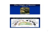 The Origin of Species · 19 37 37 Extinct species are separated into species based on morphology (fossils). There is high levels of hybridization among some species groups. It’s