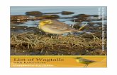 Introduction - Dutch Birding - International journal on Palearctic birds · 2019-04-23 · Pipits & Wagtails of Europe, Asia and North America, Identification and Systematics. Christopher