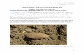 Explore Fossils - Past lives of the Kettleman Hills€¦ · Fossils change upward in layered sedimentary rocks (strata or statigraphy ) as organisms evolve through time, and characteristic