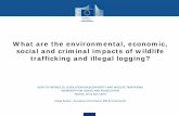 What are the environmental, economic, social and criminal ...ec.europa.eu/environment/legal/law/4/pdf/... · What are the environmental, economic, social and criminal impacts of wildlife