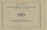 NEW JERSEY GEOLOGICAL SURVEY · New Jersey, the writer has had access to the original files of that office dealing with copper ores and copper mining for the period from about 1895