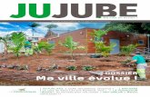JUJUBE - La Possession · 2018-07-25 · la possession, le sentier de la nouvelle. crÉdit photo gÉrard demmer jujube #144 • novembre 2017 • 3 04 retour 19 en images une plante