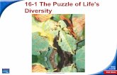 16-1 The Puzzle of Life's Diversity - Geology Home · 2018-09-11 · 16-1 The Puzzle of Life's Diversity . End Show 15-1 The Puzzle of Life's Diversity Slide ... Voyage of the Beagle