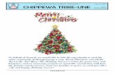 AAMJIWNAANG FIRST NATION CHIPPEWA TRIBE -UNE · AAMJIWNAANG FIRST NATION CHIPPEWA TRIBE-UNE Sandy Waring Dec. 18, 2015 Editor Issue No# 15:25 On behalf of Council, we would like to