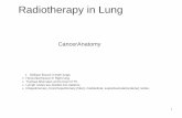 Radiotherapy in Lung - Assiut University lectures/lung cancer.pdf · 2016-05-10 · >2 Gy less mean total lung dose and 10% decrease in the risk of radiation pneumonitis. Heart, Esophagus,