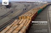 Illegal Logging - WWF · ‘Illegal logging’ therefore describes a variety of illegal practices, ranging from theft of standing timber and logs through to corrupt business practices,