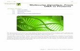 C 7 Molecular Genetics: From DNA to Proteins · 159 CHAPTER 7 Molecular Genetics: From DNA to Proteins Chapter Outline 7.1 DNA AND RNA 7.2 PROTEIN SYNTHESIS 7.3 MUTATION 7.4 REGULATION