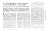 MOLECULAR BIOLOGY A DNA methylation reader complex ... · Thus, the SUVH proteins bind to methylated DNA and recruit the DNAJ proteins to enhance proximal gene expression, thereby