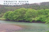 Overview of the Trinity River - Bureau of Reclamation€¦ · Pre-dam Trinity River upstream of Lewiston. 1 The Trinity River The Trinity River begins in the rugged Trinity Alps in