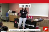 Reptiles - Museum of Science · Reptiles is a 30-minute presentation about a diverse, successful, and fascinating group of animals. Needs We bring all materials and equipment, including