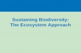 Sustaining Biodiversity: The Ecosystem Approachpcapes.weebly.com/uploads/8/8/3/0/8830216/forestry...Sustaining Biodiversity: The Ecosystem Approach. WHAT ARE THE MAJOR THREATS TO FOREST