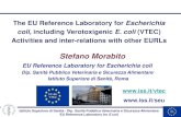 The EU Reference Laboratory for Escherichia coli ... · coli, including Verotoxigenic E. coli (VTEC) Activities and inter-relations with otherEURLs. Stefano Morabito. Istituto Superiore