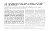 doi:10.1093/nar/gkl888 The natural history of the WRKY–GCM1 … · 2006-11-08 · The natural history of the WRKY–GCM1 zinc fingers and the relationship between transcription