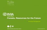 Forests, Resources for the Future - KSLA | Lantbrukfood) Territorial agricultural systems and diversified value chains . artificialization of soils and competing uses of natural resources
