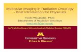 Molecular Imaging in Radiation Oncology - Brief ...chapter.aapm.org/nccaapm/z_meetings/2016-04-15/04...molecular imaging in radiation oncology: A report by the AAPM Working Group on
