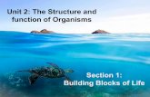 Unit 2: The Structure and function of Organisms Building ...watsoned.weebly.com/.../5/0/...structure_and_function_of_organisms… · 118* elements. Elements/atoms are connected to