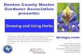 Growing and Using Herbs - Denton County Master …dcmga.com/files/2012/10/Herb-Presentation-bmb-2013-web.pdf• Store dried herbs in an airtight container in a cool, dark space to