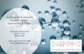 Oulook for North America’s Polyolefin Industry … · Oulook for North America’s Polyolefin Industry: Opportunities & Threats Plastic News Executive Forum March 5-7, 2018 Naples,